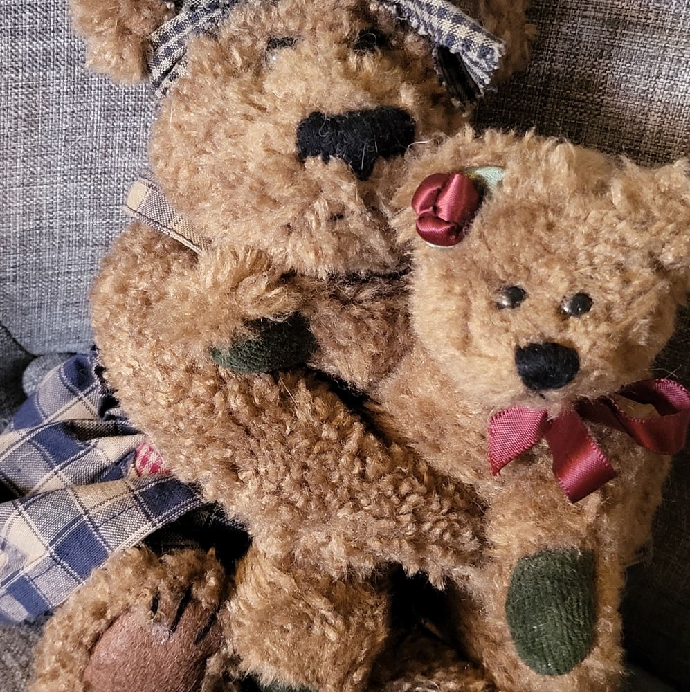 Boyd's bear